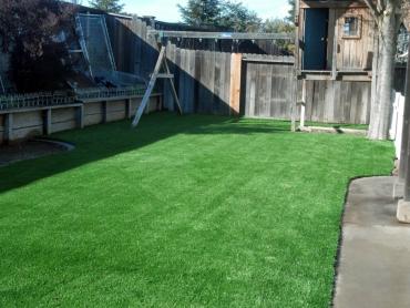 Artificial Grass Photos: Artificial Grass Ladera Heights California Lawn  Backyard